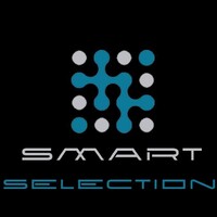 Smart Selection logo - Similar company to Vn Robot Inc