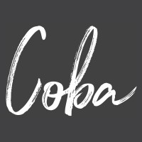 Coba Properties logo - Similar company to Seven Development