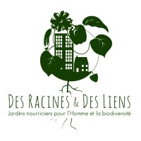 Des Racines & Des Liens logo - Similar company to Crache-Texte