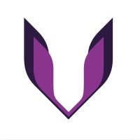 Viltrum Agency logo - Similar company to Quilfords Accountants