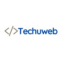 Techuweb logo - Similar company to Updoer Technology