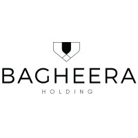 Bagheera Holding logo - Similar company to Intimar - Alternative Investments