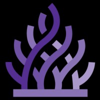 IntelliReefs logo - Similar company to Ccell - Listen To Our Oceans