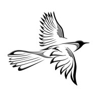 Thrasher Aviation