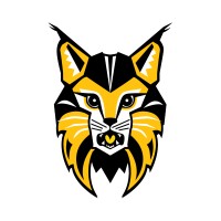 PhotoLynx logo - Similar company to Imagequix & Photolynx