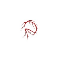 Peavey logo - Similar company to Sure Studios