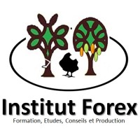Institut Forex Sarl