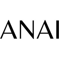 ANAI logo - Similar company to Commerce Syndicate
