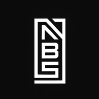 NBS ltd logo - Similar company to Wave Consulting