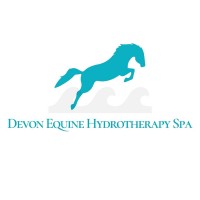 Devon Equine Hydrotherapy Spa logo - Similar company to Equiradar