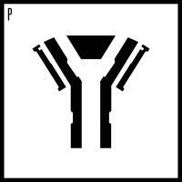 Paratope