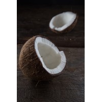 Evergreen Enterprises India logo - Similar company to Mathi Coconut Powder
