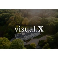 VisualX logo - Similar company to Visualx