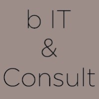 b IT & Consult logo - Similar company to Royworks