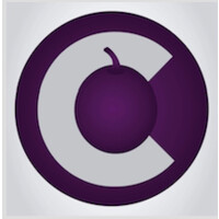 Concord Talent logo - Similar company to Concord Talent Hunt