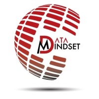 Data Mindset logo - Similar company to Data-On