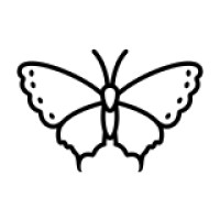 Beautiful Creativity Studio of Art & Design logo - Similar company to Designify.Za