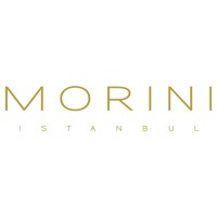 Morini İstanbul logo - Similar company to Morini