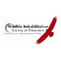 Wildlife Rehabilitation Society Of Edmonton