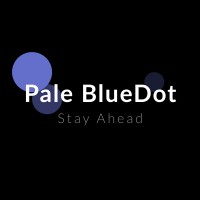 Pale Blue Dot logo - Similar company to Netzline Technologies