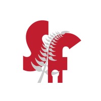 Silver Fern Security Limited