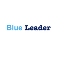 Blue Leader Ltd logo - Similar company to My Squirrel Guard