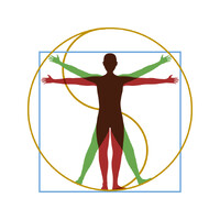 European Institute of Integrative Health Sciences logo - Similar company to Cybercentry