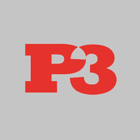 P3 Suministros de Protección S.L. logo - Similar company to Anticaidas Líneas De Vida