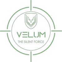 VELUM - THE SILENT FORCE logo - Similar company to Mw Gmbh