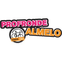 Stichting Profronde Almelo logo - Similar company to Holorise