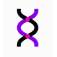 Synapse-1 logo - Similar company to B3 Live!