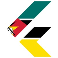 Flutter Moçambique logo - Similar company to Gdg Maputo