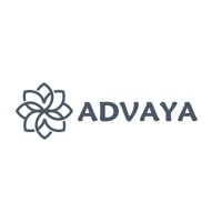 Advaya Danışmanlık logo - Similar company to Mne Advisory  |  Nezif Emek