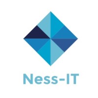 Ness-IT logo - Similar company to Icare-Soft