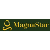 MagnaStar Group logo - Similar company to Cila Banking Consultancy