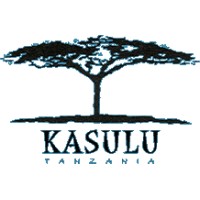 Stichting Kasulu logo - Similar company to Hmv Actis