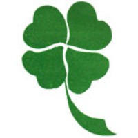 Clovers Management and Training Consultancy Ltd logo - Similar company to Kainnesia