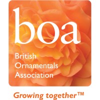 BOA- British Ornamentals Association logo - Similar company to Boa Vida
