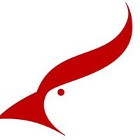 Cardinal Capital Commercial Finance