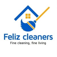 Feliz cleaners logo - Similar company to Ifa/Ipa Ghana Chapter