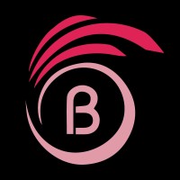 Beromt Pvt Ltd logo - Similar company to Kb Technical Solutions