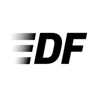 disforce AG logo - Similar company to Betteryou Gmbh