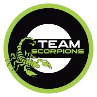 Team scorpion logo - Similar company to Trpeski Design