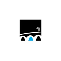 DIGITAL BRIDGE AFRICA logo - Similar company to Repae