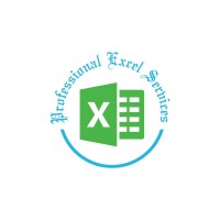 Professional Excel Services