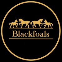 Blackfoals Group logo - Similar company to Roas.Plus