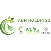ADN Holdings Private Limited logo - Similar company to Algorvation (Pvt) Ltd.