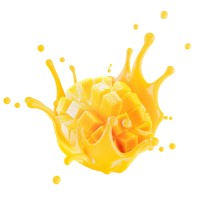 Mango Solutions Limited logo - Similar company to Acclivity Ventures