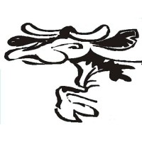 IJsboerderij 't Dommerholt logo - Similar company to Krokant Bv