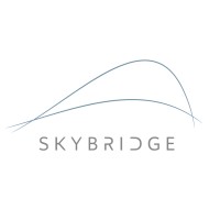 Skybridge Trading Ltd logo - Similar company to Femploy By Infinitecode